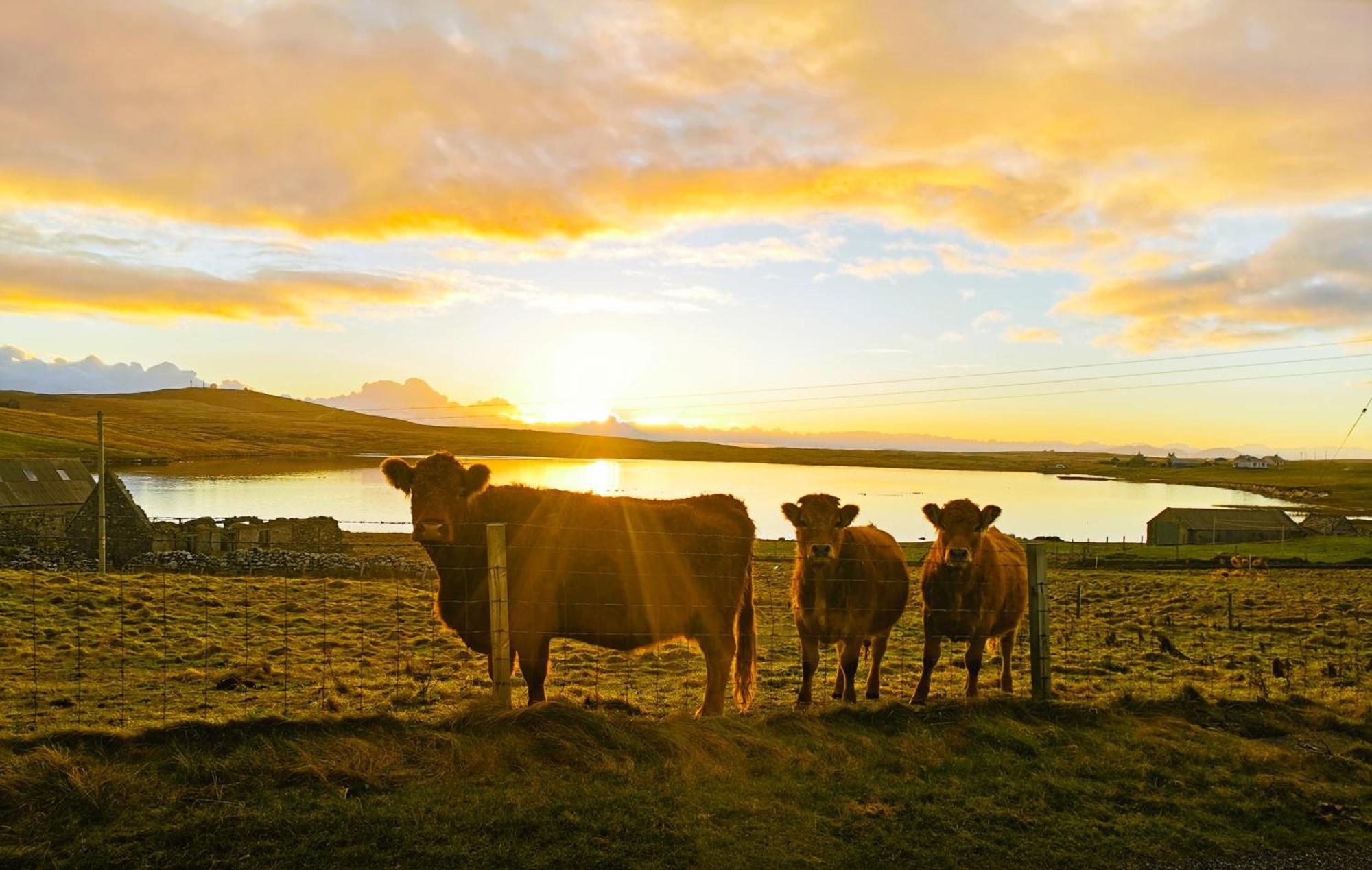 North Uist Lodges Tigharry Exteriör bild