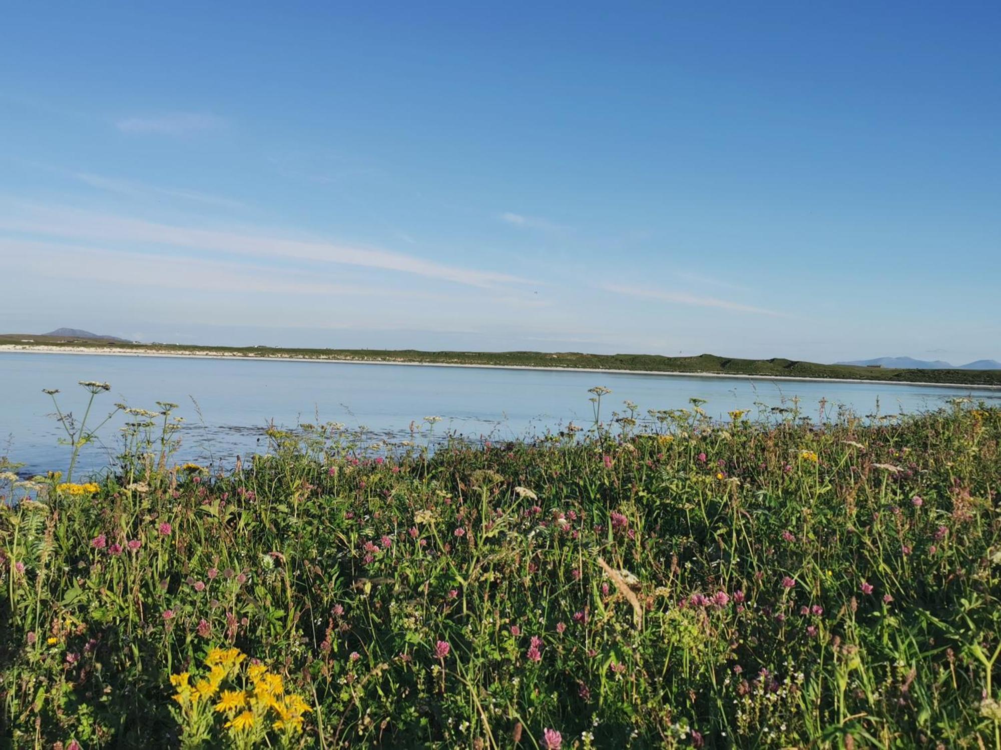North Uist Lodges Tigharry Exteriör bild